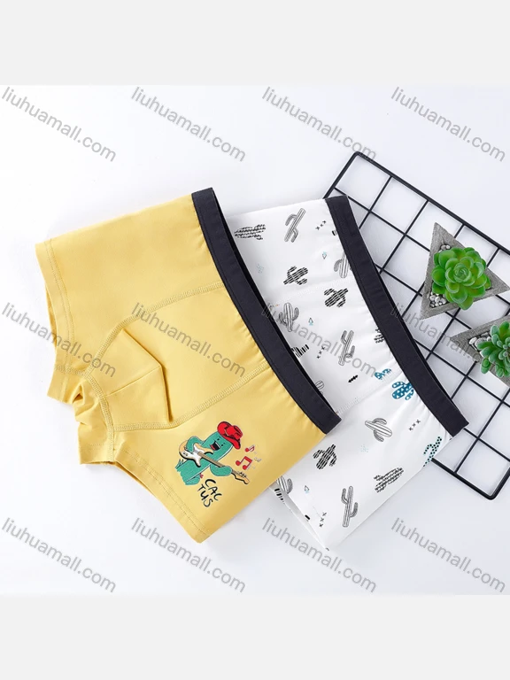 Wholesale Boys Cute Graphic Elastic Waistband Boyshort Underwear Panties (2 Pieces of Pack)