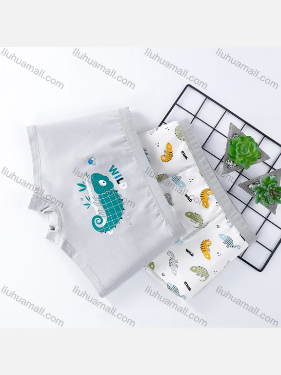 Wholesale Boys Cute Graphic Elastic Waistband Boyshort Underwear Panties (2 Pieces of Pack)