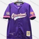Wholesale Men's Athletic Workout V Neck Letter Breathable Mesh Button Down Striped Trim Short Sleeve Baseball Jersey Top Purple Clothing Wholesale Market Liuhua