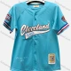 Wholesale Men's Athletic V Neck Letter Button Front Striped Trim Breathable Mesh Short Sleeve Baseball Jersey Top Blue Clothing Wholesale Market Liuhua