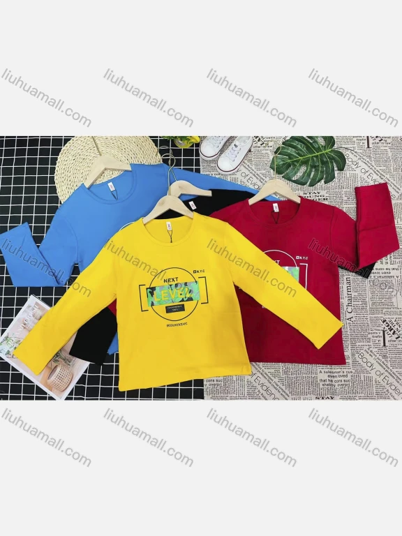 Wholesale Boy's Comfy Crew Neck Long Sleeve Letter Print T-Shirt