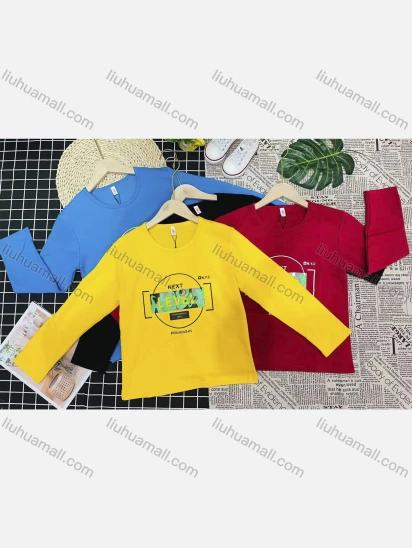 Wholesale Boy's Comfy Crew Neck Long Sleeve Letter Print T-Shirt