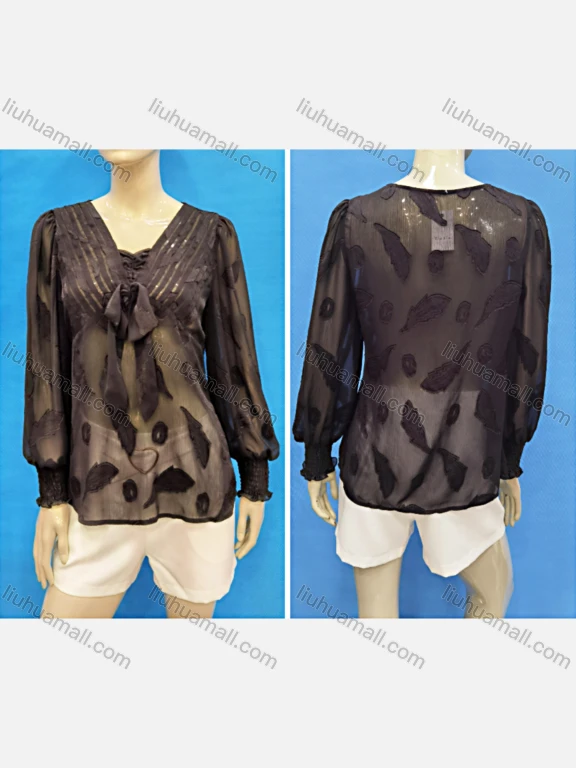 Wholesale Women's Elegant V Neck Bishop Sleeve Tie Front Embroidery Cover Up Tops