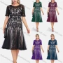 Wholesale Women's Elegant Lace Floral Embroidery High Waist Short Sleeve Knee Length Dress preview