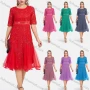 Wholesale Women's Elegant High Waist Embroidery Lace Hem Pleated Knee Length Dress preview