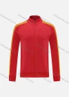 Wholesale Men's Athletic Striped Stand Collar Zip Long Sleeve Sweatshirt - Liuhuamall