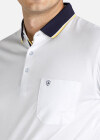 Wholesale Men's Striped Trim Patch Pocket Short Sleeve Polo Shirt - Liuhuamall