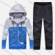 Wholesale Men's Athletic Workout Splicing Colorblock Drawstring Zip Hoodie & Elastic Waist Ankle Length Pants 2 Piece Set 30976# Blue Clothing Wholesale Market Liuhua