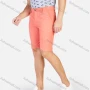 Wholesale Men's Plain Linen Slant Pocket Zipper Fly Button Casual Walk Shorts preview