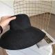 Wholesale Women's Plain Wide Brim Panama Straw Hat Black Clothing Wholesale Market Liuhua