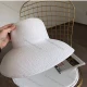 Wholesale Women's Plain Wide Brim Panama Straw Hat White Clothing Wholesale Market Liuhua