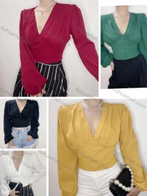 Wholesale Women's Fashion Deep V Neck Long Sleeve Button Decor Ruched Plain Top, LIUHUA CLOTHING WHOLESALE
