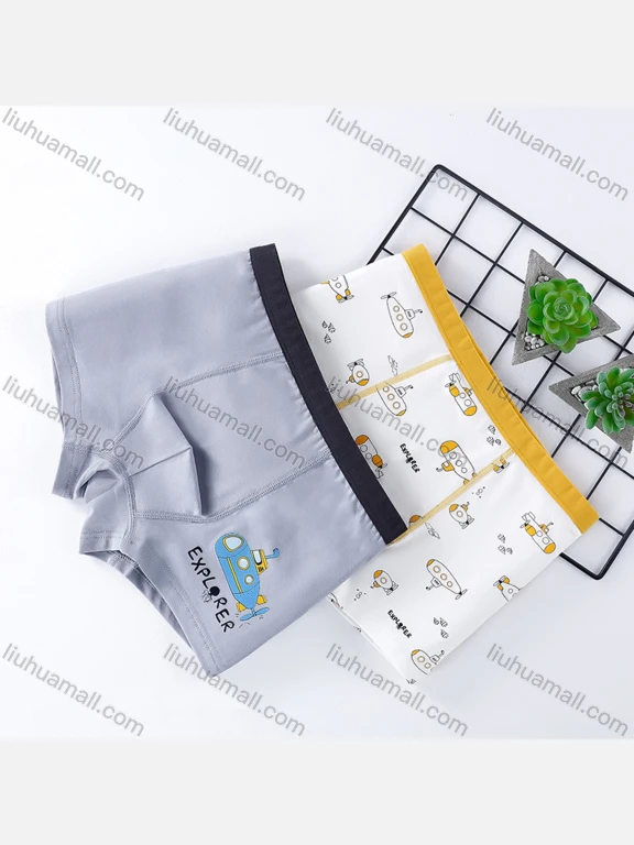 Wholesale Boys Cute Graphic Elastic Waistband Boyshort Underwear Panties (2 Pieces of Pack)