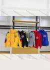 Wholesale  Boys Multicolor Stripes Sleeves Letters Print Graphic Hoodies - Liuhuamall