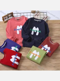 Wholesale Boy's Casual Letter Graphic Long Sleeve Sweatshirt c2303#, LIUHUA CLOTHING WHOLESALE