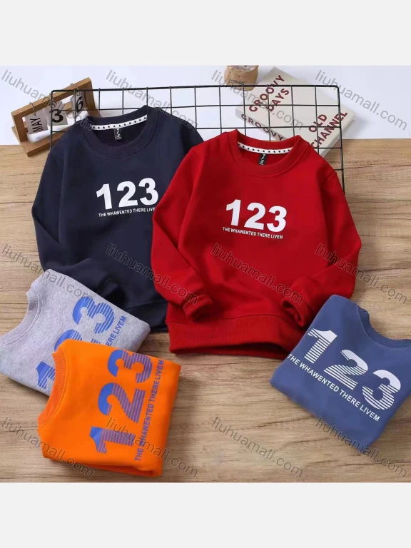 Wholesale Boy's Casual Number Graphic Long Sleeve Sweatshirt c2304#