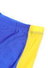 Wholesale Boys Colorblock Two-Piece Swimsuit Set 722181# - Liuhuamall