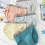Wholesale Boy's Plain Breathable HIgh Waist Brief (Pack of 2) preview