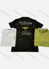 Wholesale Men's Short Sleeve Letter & Bee Print Polo Shirt - Liuhuamall
