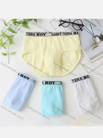 Wholesale Boy's Plain Breathable HIgh Waist Brief (Pack of 2), LIUHUA CLOTHING WHOLESALE