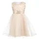 Girls Sleeveless 3D Floral Sequin Lace Flower Girl Dress Almond White Clothing Wholesale Market -LIUHUA