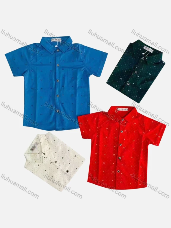 Wholesale Boy's Casual Allover Print Short Sleeve Shirt