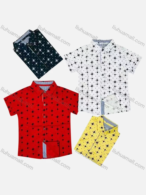 Wholesale Boy's Casual Allover Print Short Sleeve Shirt