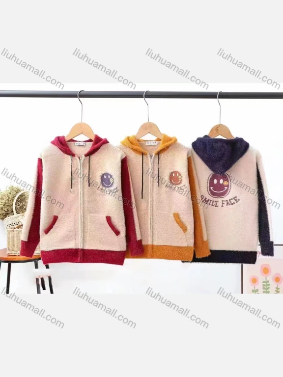 Wholesale Kid's Casual Zipper Drawstring Long Sleeve Hooded Fleece Sweater 1801#