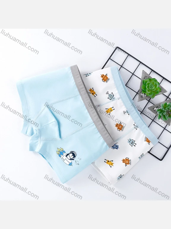 Wholesale Boys Cute Graphic Elastic Waistband Boyshort Underwear Panties (2 Pieces of Pack)