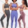 Wholesale Women's 2 Piece Workout Outfits Sports Bra Seamless Leggings Yoga Gym Activewear Set AB36# preview