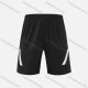 Wholesale Men's Sporty Breathable High Stretch Quick Dry Elastic Waist Drawstring Sport Shorts 11029# Black Clothing Wholesale Market Liuhua