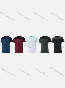 Wholesale Men's Sporty Round Neck Short Sleeve Quick Dry High Stretch Colorblock Sport T-shirt 2817#, LIUHUA CLOTHING WHOLESALE