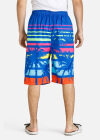 Wholesale Men's Vacational Beachwear Colorful Graphic Shorts - Liuhuamall