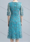 Wholesale Women's Elegant High Waist Crew Neck Sheer Mesh Half Sleeve Allover Embroidery Knee Length Dress - Liuhuamall