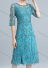 Wholesale Women's Elegant High Waist Crew Neck Sheer Mesh Half Sleeve Allover Embroidery Knee Length Dress - Liuhuamall