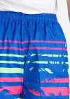 Wholesale Men's Vacational Beachwear Colorful Graphic Shorts - Liuhuamall