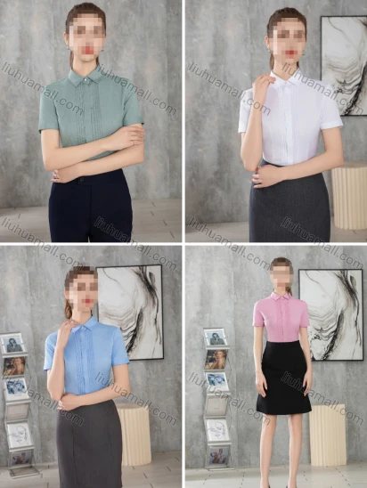 Wholesale Women's Business Formal Slim Fit Short Sleeve Pleated Front Blouse