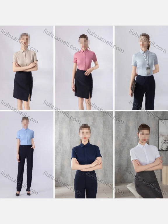 Wholesale Women's Business Formal Slim Fit Short Sleeve Blouse