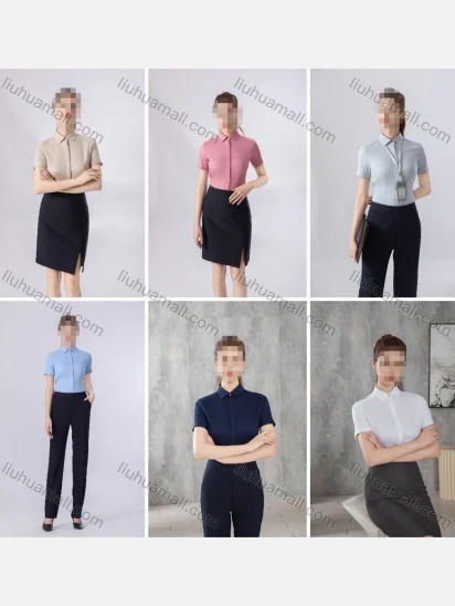 Wholesale Women's Business Formal Slim Fit Short Sleeve Blouse