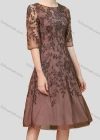 Wholesale Women's Elegant High Waist Crew Neck Short Sleeve Sheer Mesh Allover Embroidery Knee Length Dress - Liuhuamall