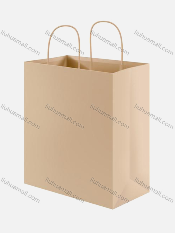 Wholesale Plain Paper Bag（Size S 20.5*27+11CM）