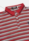 Wholesale Men's Casual Label Print Striped Embroidery Polo Shirt - Liuhuamall