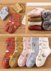 Wholesale Women's Casual Cartoon Print Mid-calf Socks 10 Pairs - Liuhuamall