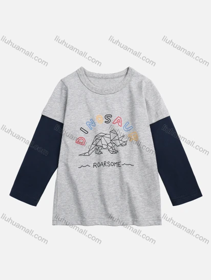 Wholesale Boys' Casual Letter Geo Dinosaur Print Splicing Long Sleeve Tee