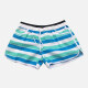 Women's Vacation Striped Pockets Drawstring Beach Shorts Blue Clothing Wholesale Market -LIUHUA