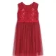 Girls Sleeveless Zip Back Embroidery Beads Lace Flower Girl Dress Red Clothing Wholesale Market -LIUHUA