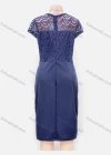 Wholesale Women's Plain Lace Appliques Guipure Lace V Neck Zip Back Short Dress - Liuhuamall