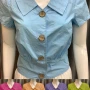 Wholesale Women's Cute Turn-down Collar Button Down Plain Short Sleeve Top AY3305# preview