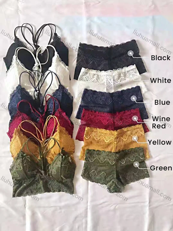 Wholesale Women's Embroidered Guipure Lace Bra & Brief 2 Pieces Sets