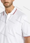 Wholesale Men's Striped Trim Regular Fit Short Sleeve Polo Shirt - Liuhuamall